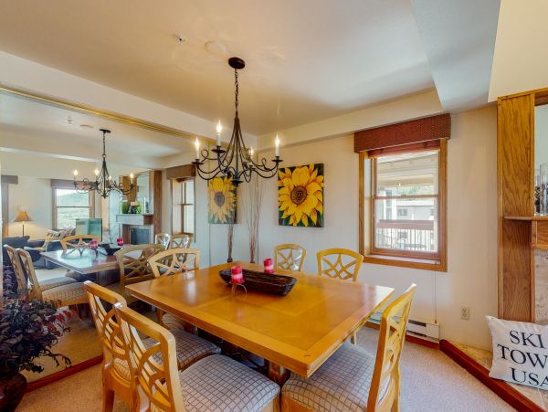 Steamboat Springs Condo 950663