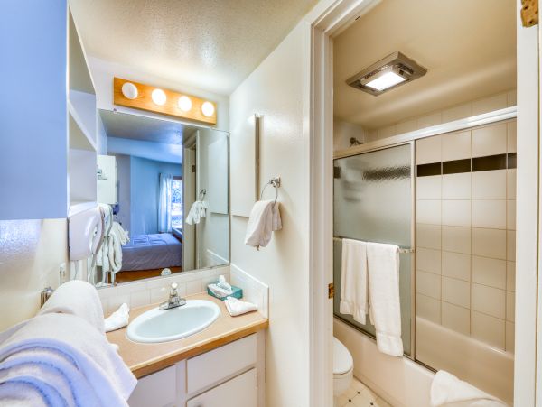 Breckenridge Condo 950667