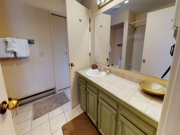 Breckenridge Condo 950671