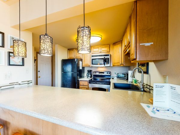 Breckenridge Condo 950674