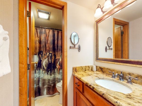 Breckenridge Condo 950684
