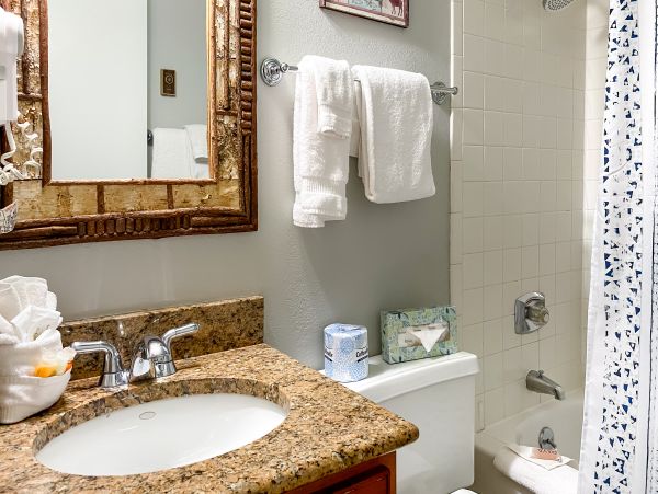 Steamboat Springs Condo 950690