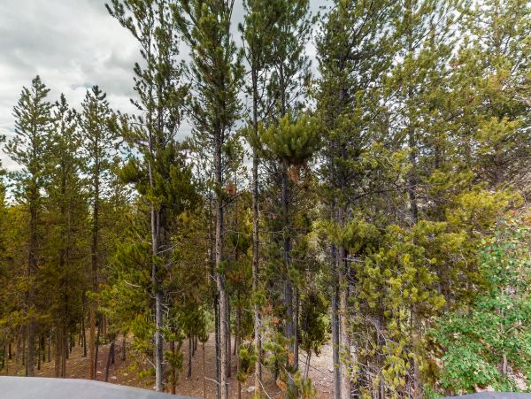 Winter Park Condo 950694