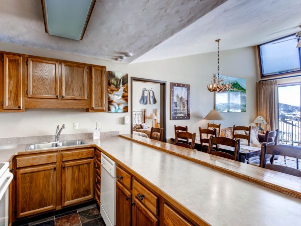 Steamboat Springs Condo 950696