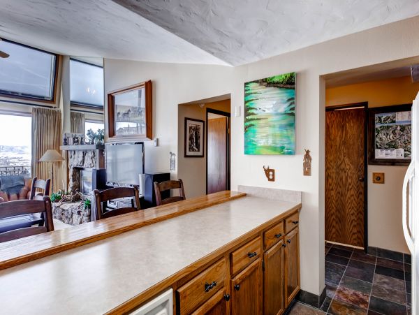 Steamboat Springs Condo 950696