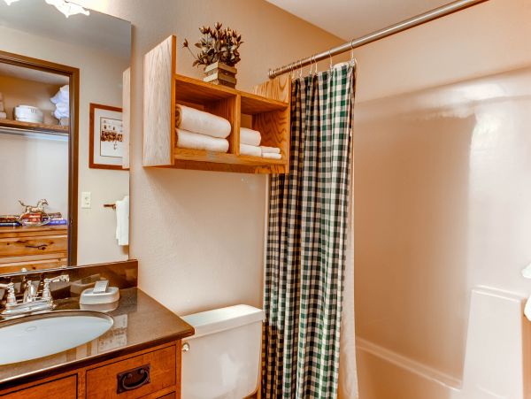 Steamboat Springs Condo 950696