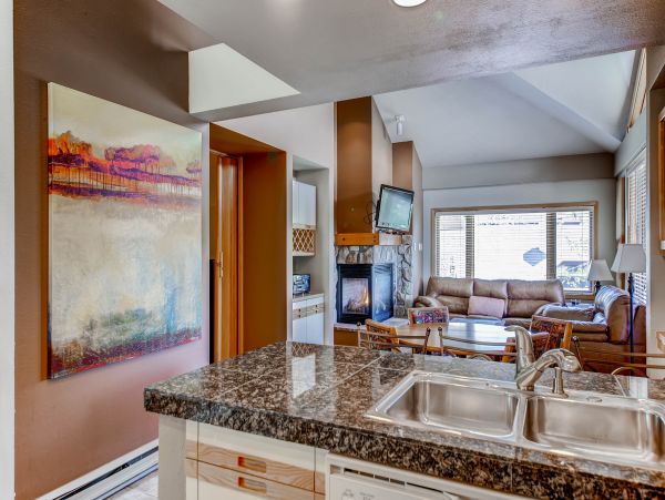 Steamboat Springs Condo 950701