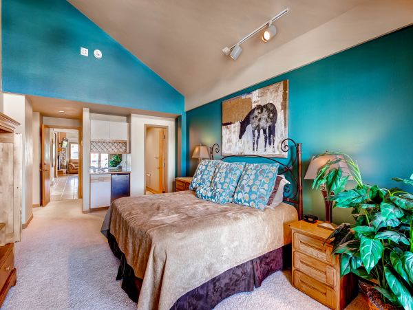 Steamboat Springs Condo 950701