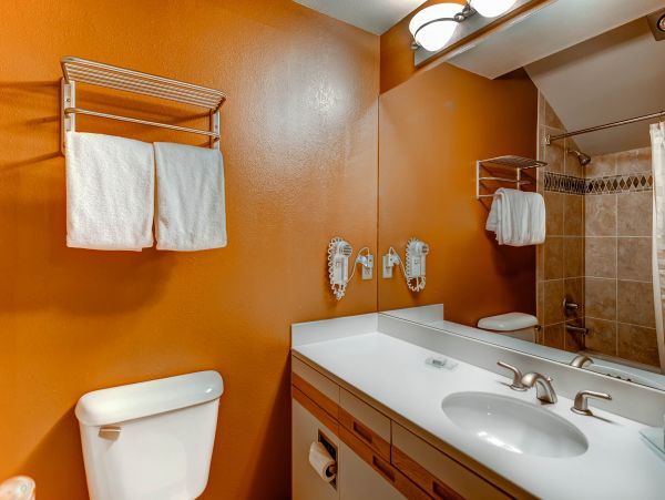 Steamboat Springs Condo 950701