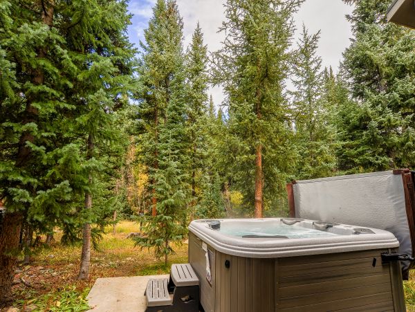 Breckenridge Home 950707