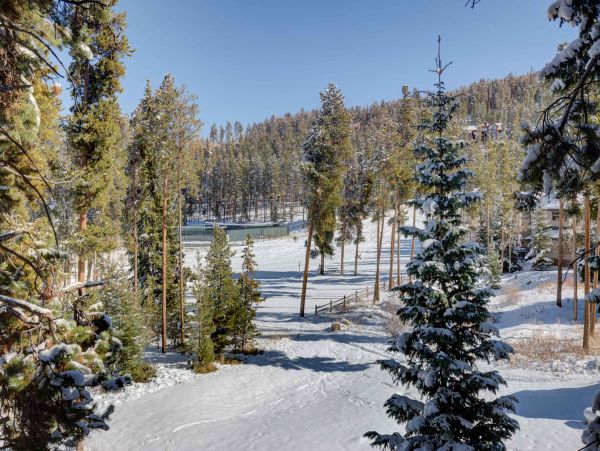 Breckenridge Condo 950712