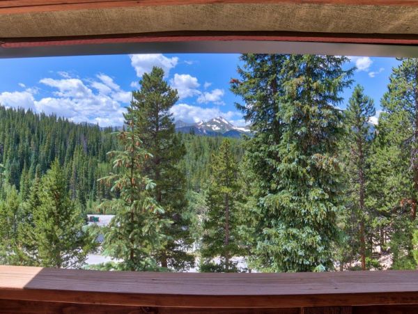 Breckenridge Condo 950719
