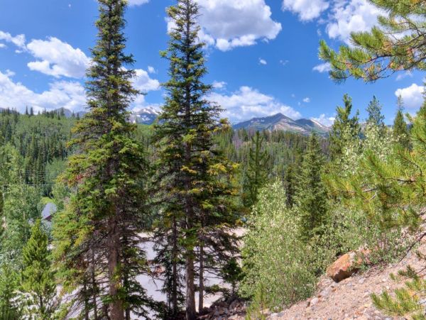 Breckenridge Condo 950719