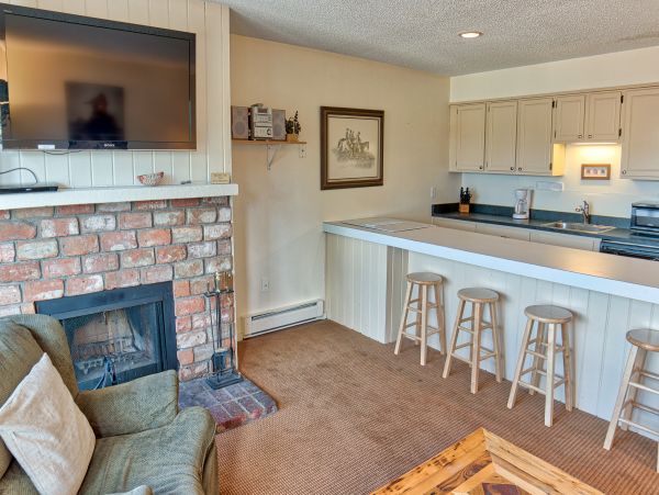 Breckenridge Condo 950726