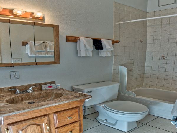 Breckenridge Condo 950729