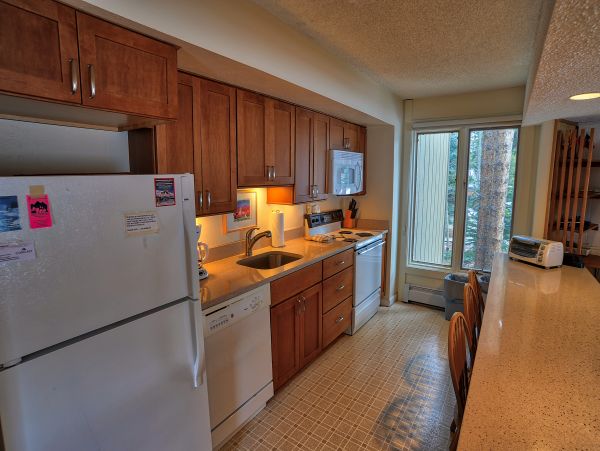 Breckenridge Condo 950733