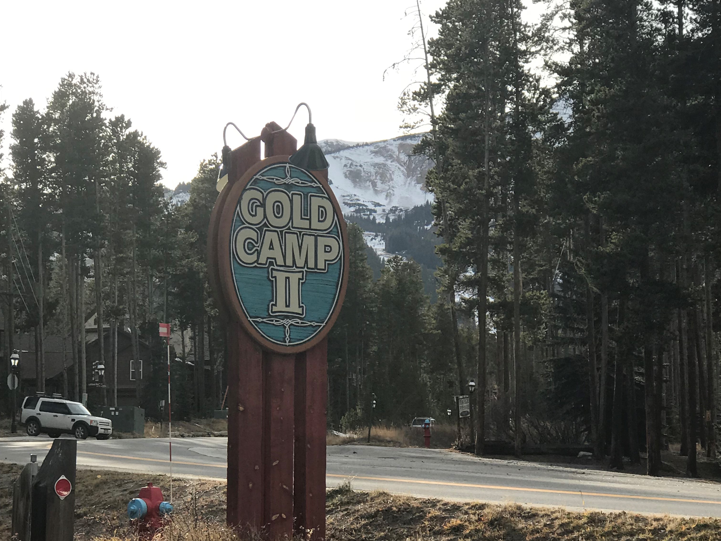Breckenridge Condo 950734