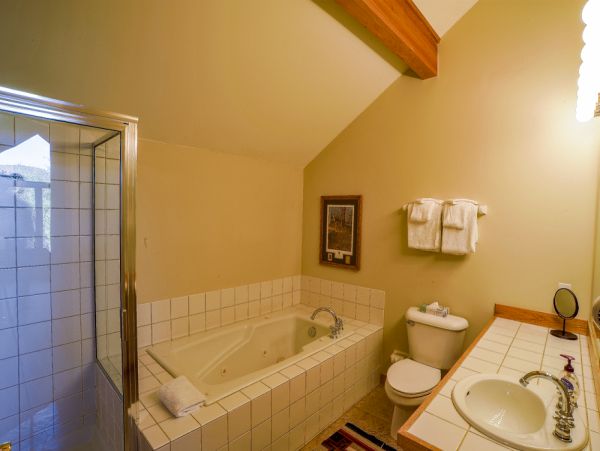 Breckenridge Home 950735