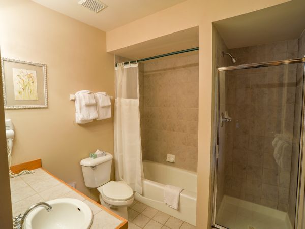 Breckenridge Home 950735