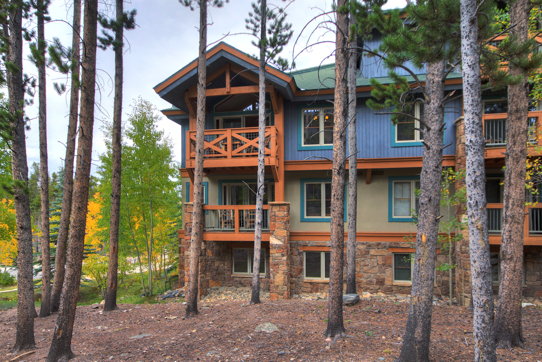 Breckenridge Condo 950745