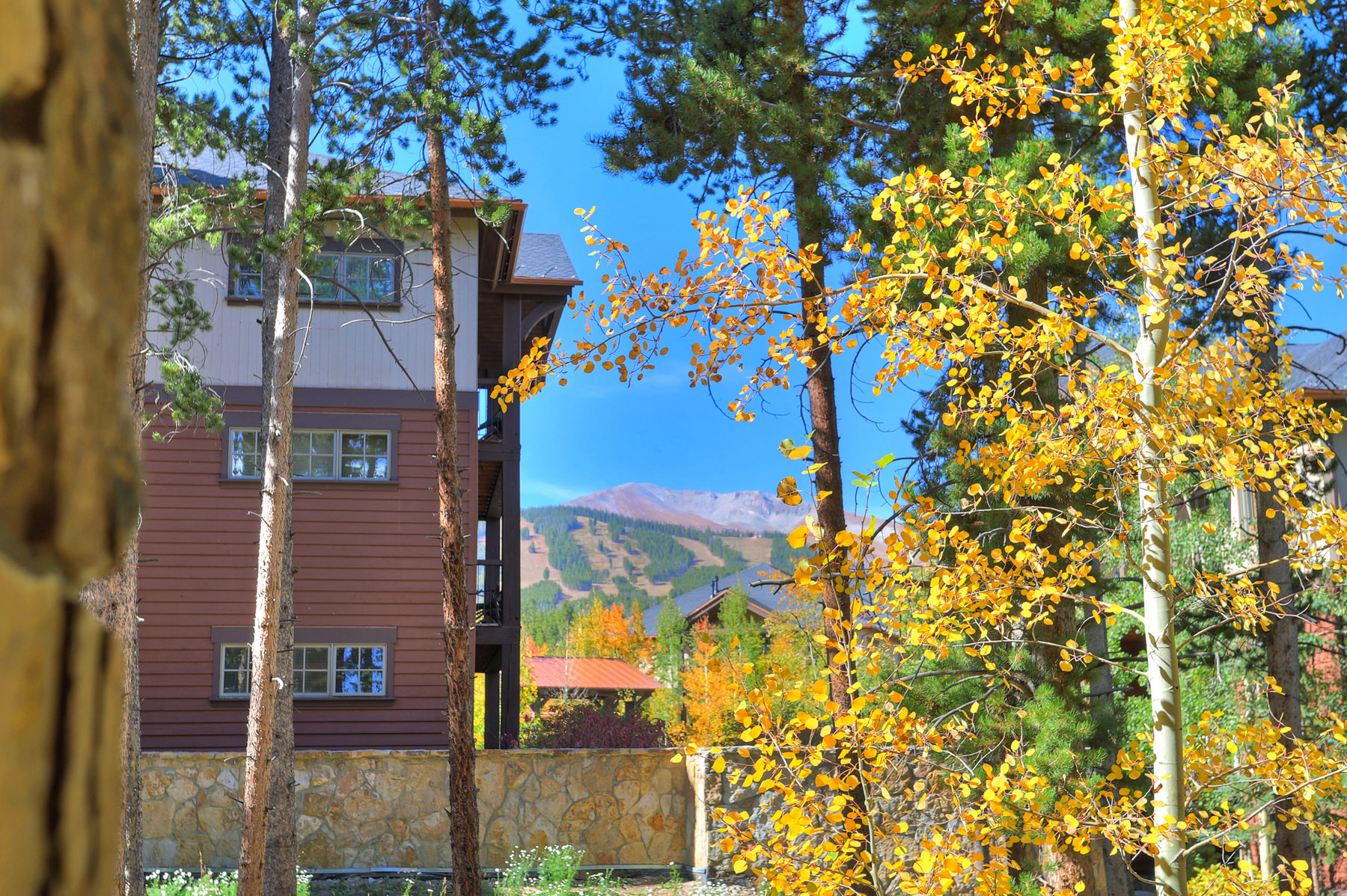 Breckenridge Condo 950745