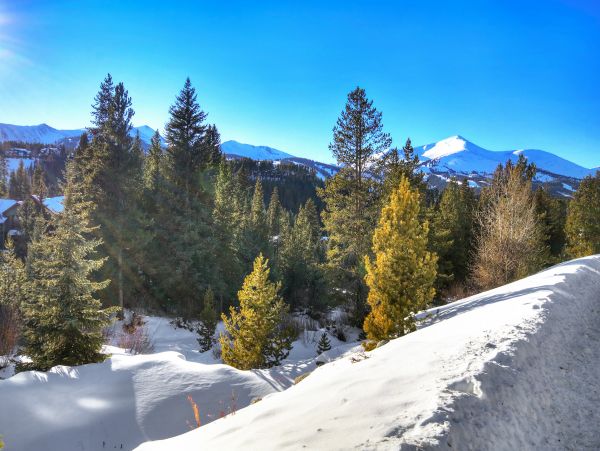Breckenridge Home 950751