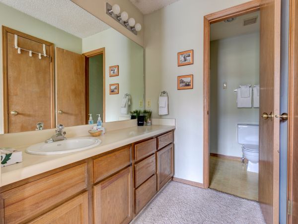 Breckenridge Condo 950753