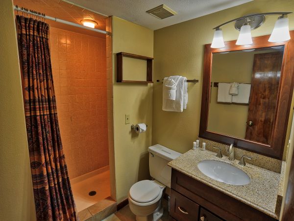 Breckenridge Condo 950755
