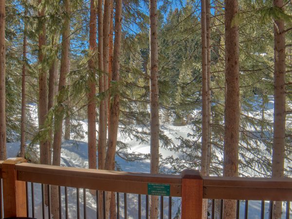Breckenridge Condo 950757