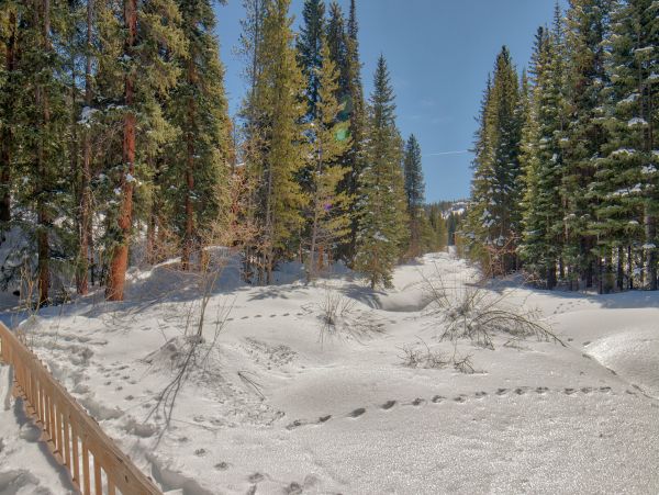 Breckenridge Condo 950757