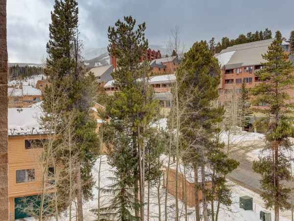 Breckenridge Condo 950761
