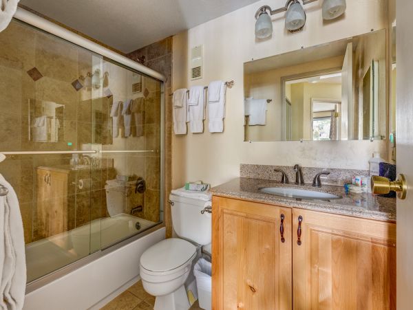 Breckenridge Condo 950761