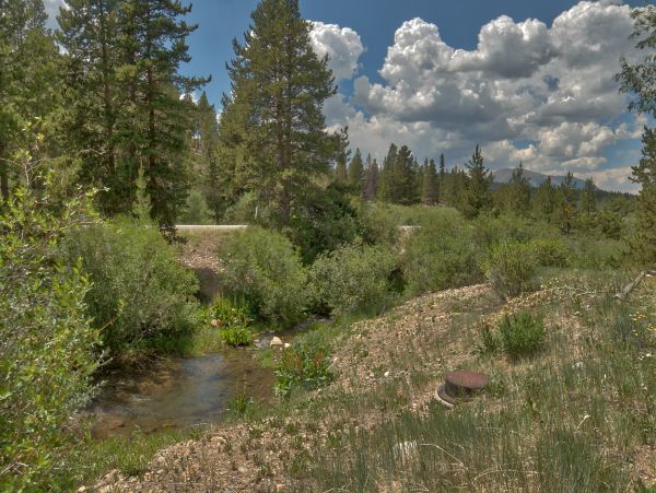 Breckenridge Condo 950762