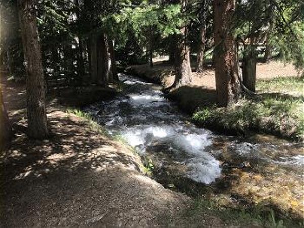 Breckenridge Condo 950764