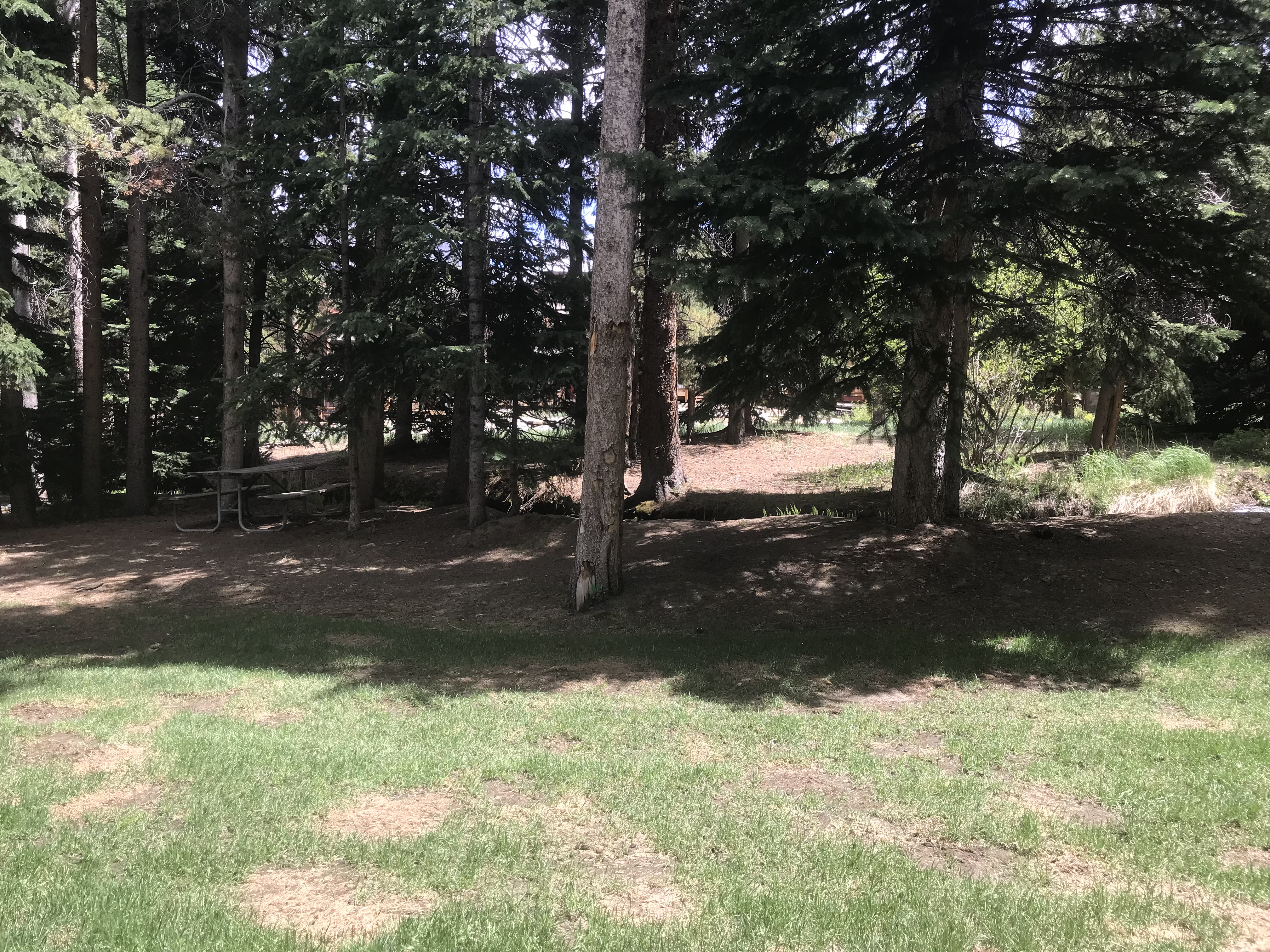 Breckenridge Condo 950765