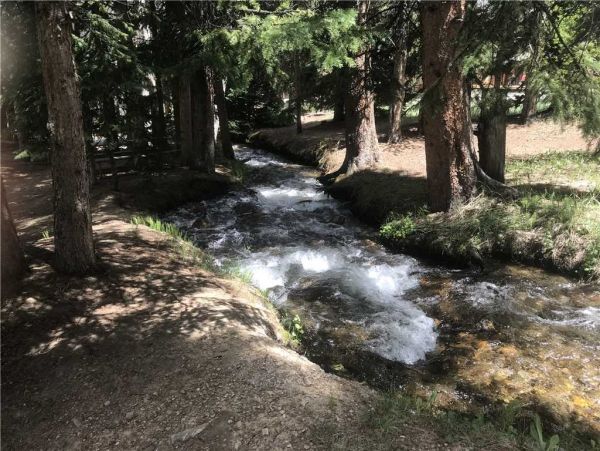 Breckenridge Condo 950766