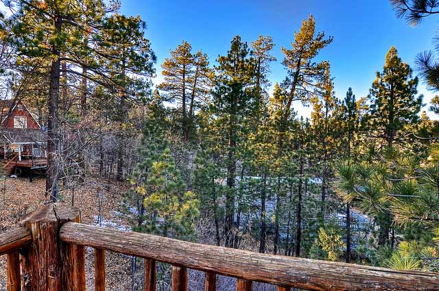 Big Bear Home 950772