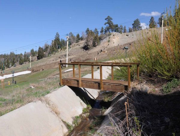 Big Bear Home 950778