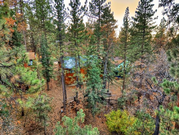 Big Bear Home 950781