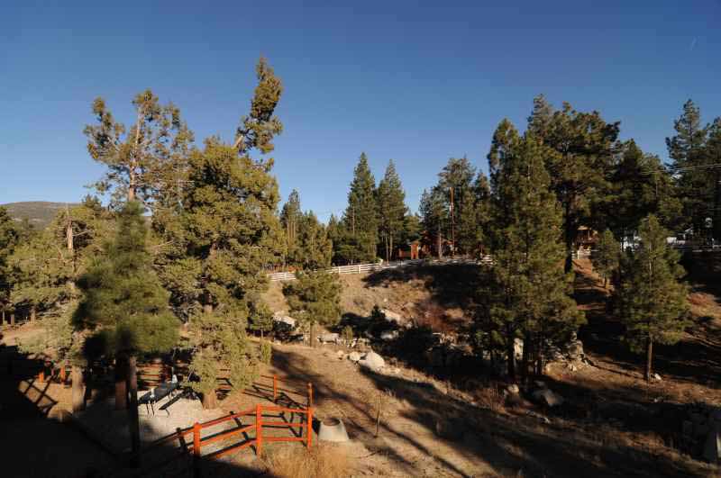 Big Bear Home 950782