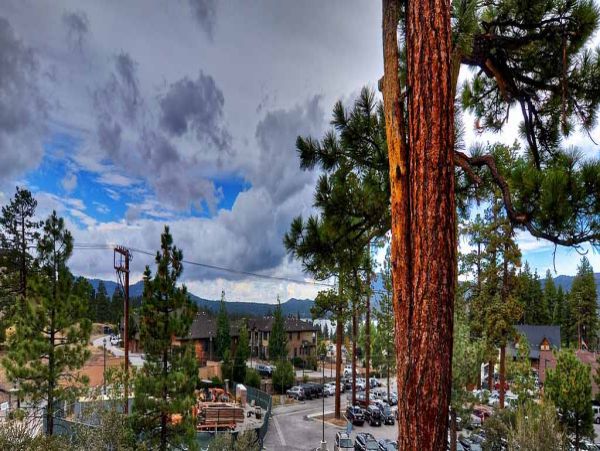 Big Bear Home 950783
