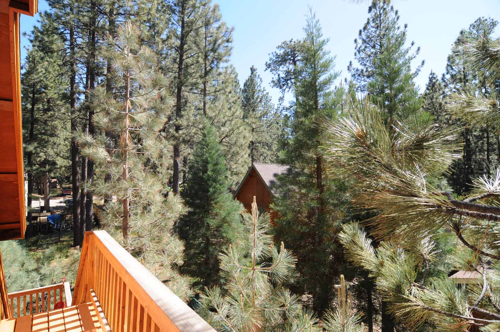 Big Bear Home 950789