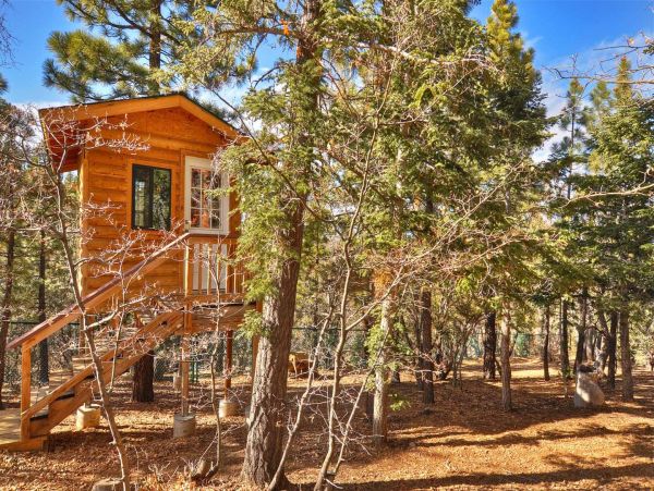 Big Bear Home 950792