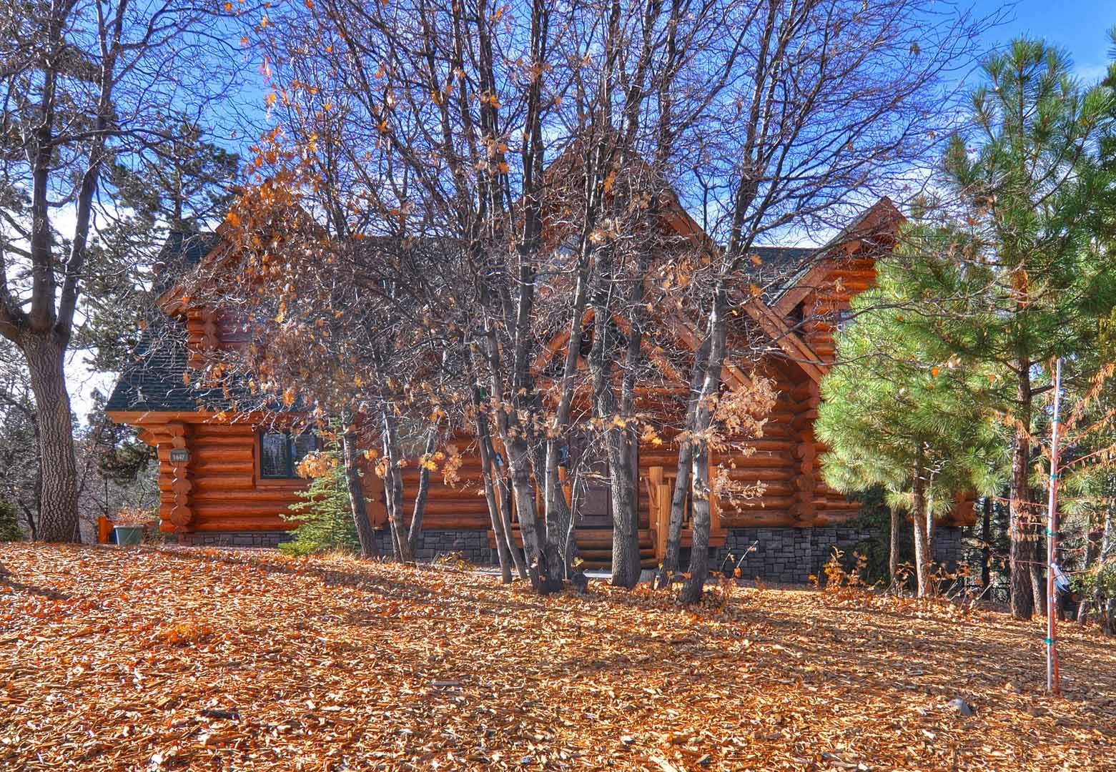 Big Bear Home 950792