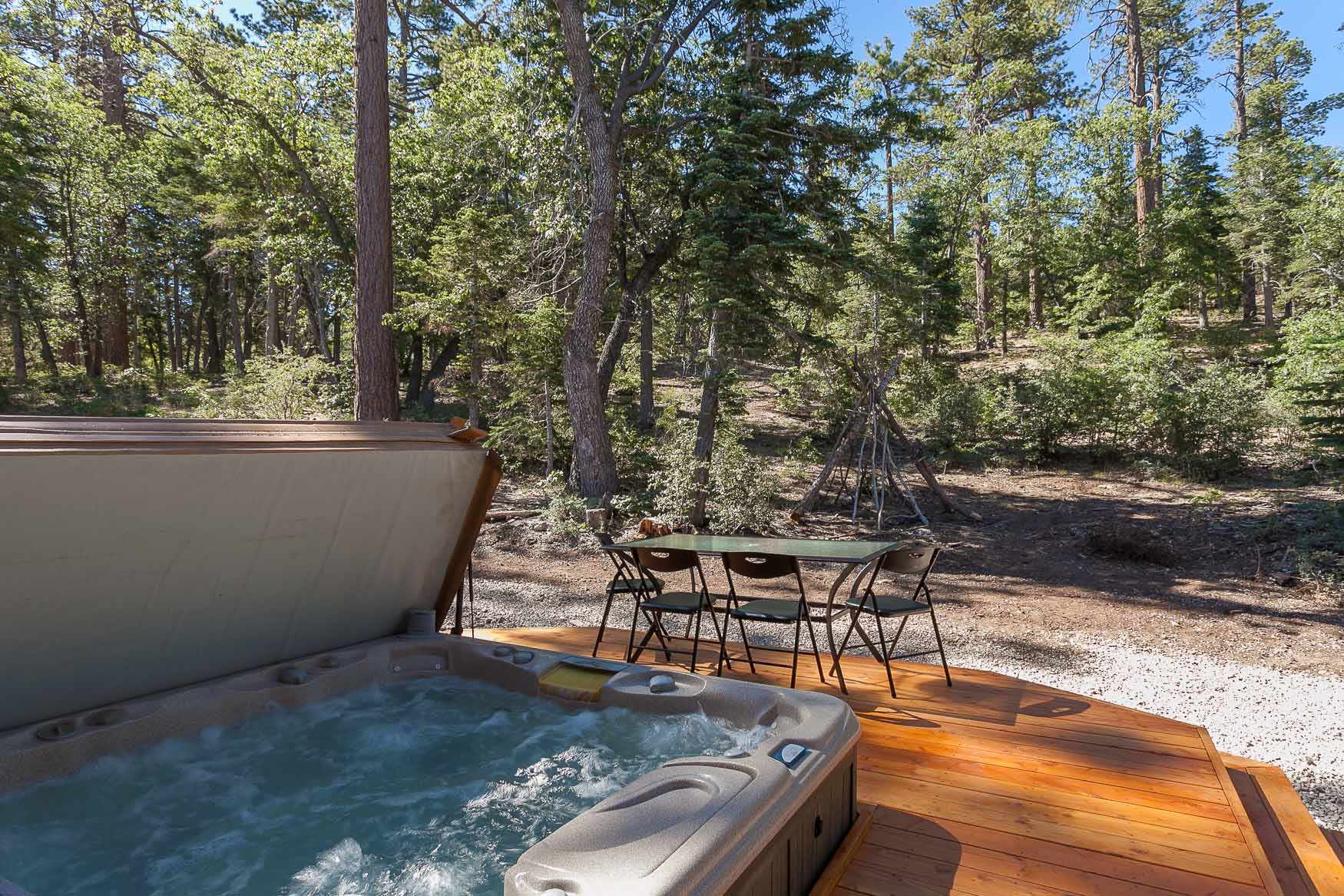 Big Bear Home 950793