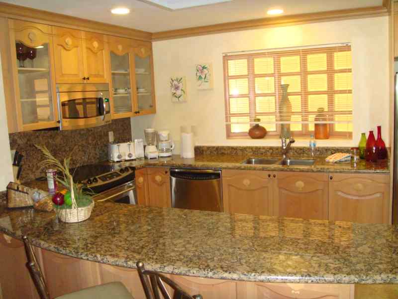 Puerto Vallarta Punta Mita Condo 950809