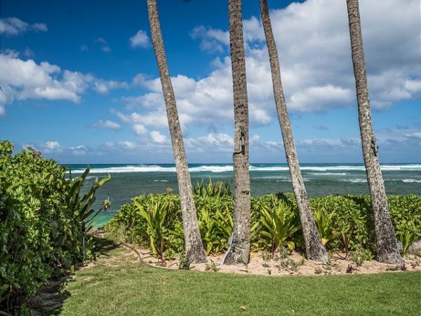 Northshore Oahu Home 950824