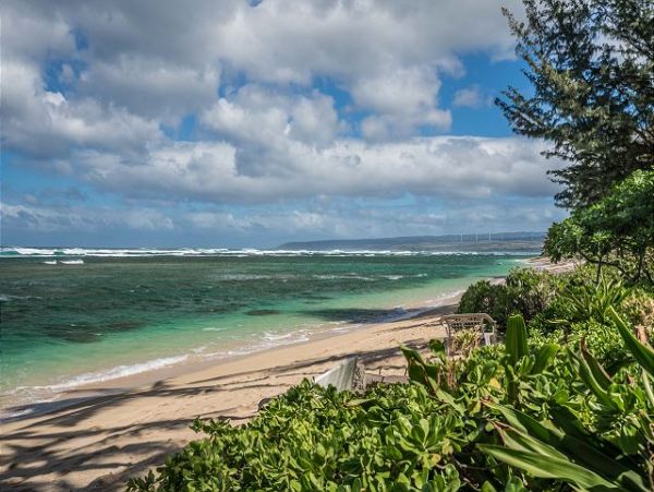 Northshore Oahu Home 950824