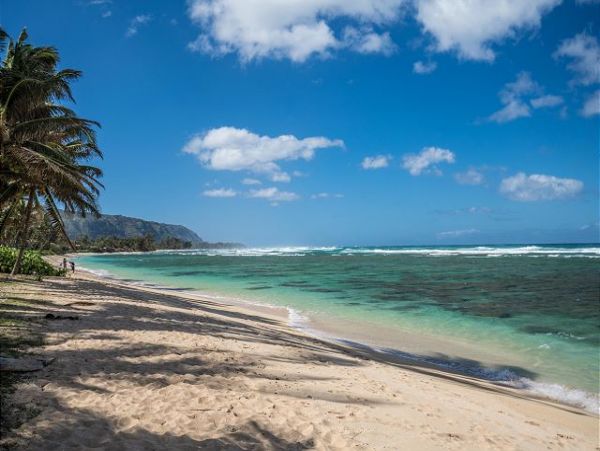 Northshore Oahu Home 950824