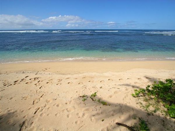 Northshore Oahu Home 950824